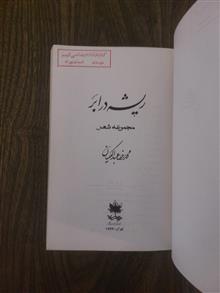 ریشه