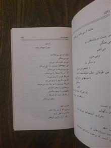 ریشه