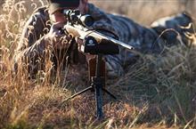 استراحتگاه