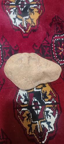 فسیل