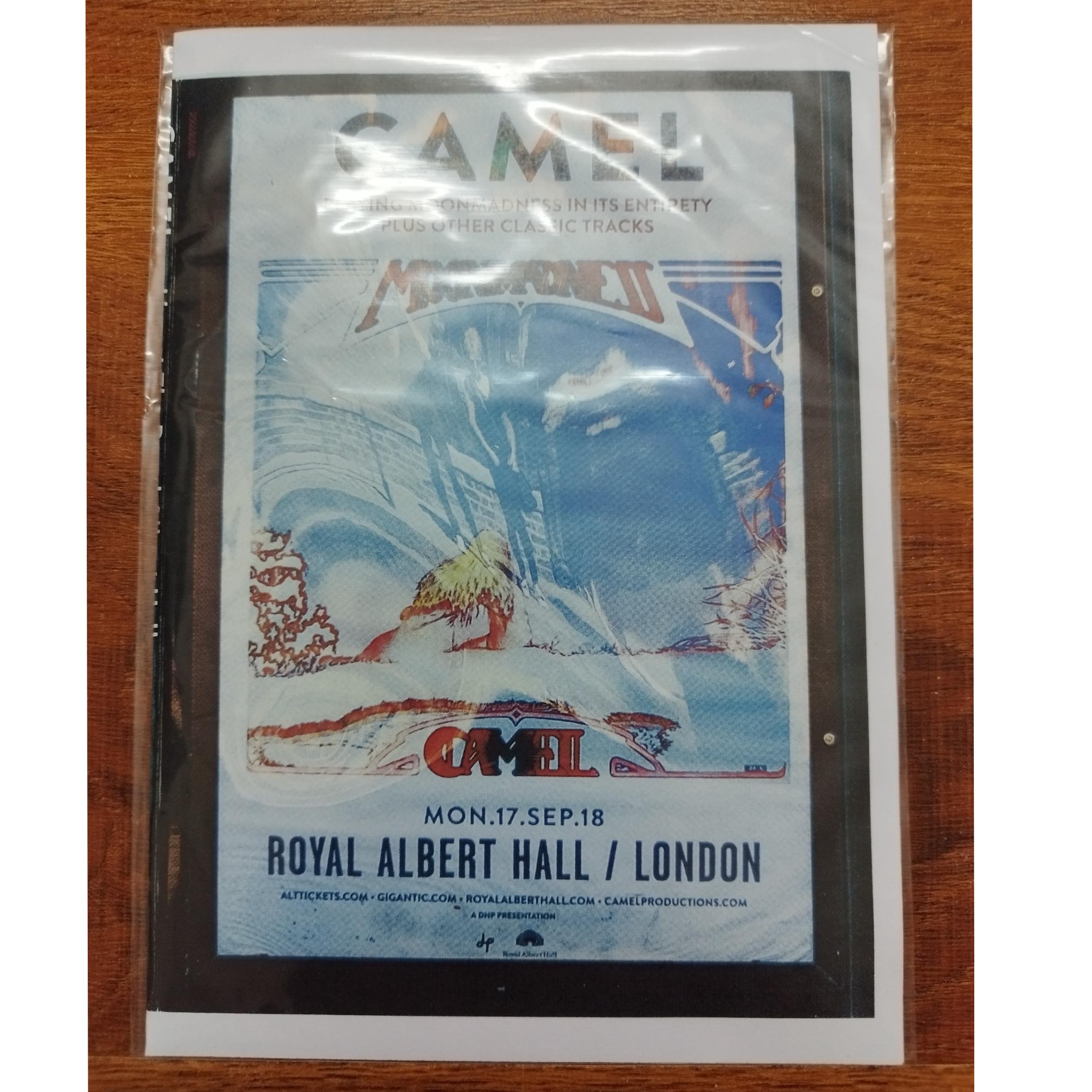 کنسرت گروه Camel در Royal Albert Hall