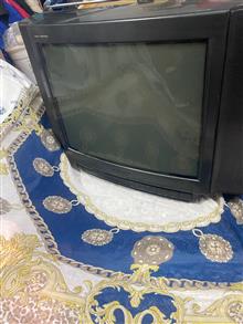 تلویزیون