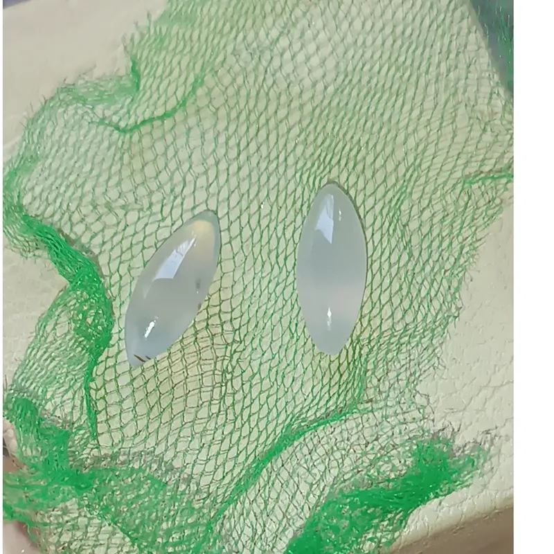 انواع مهره اصل