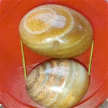 انواع