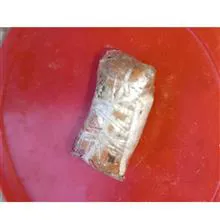 انواع