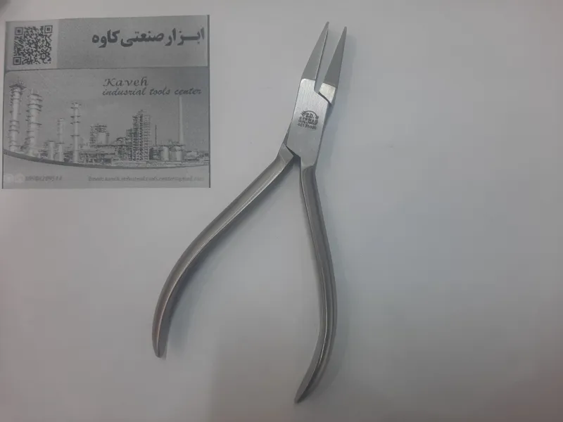 دم پهن المانی