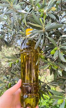 روغن