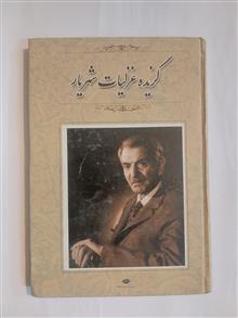 گزیده