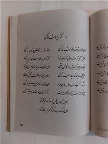 گزیده