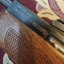 گامو