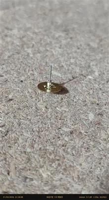 چرخ