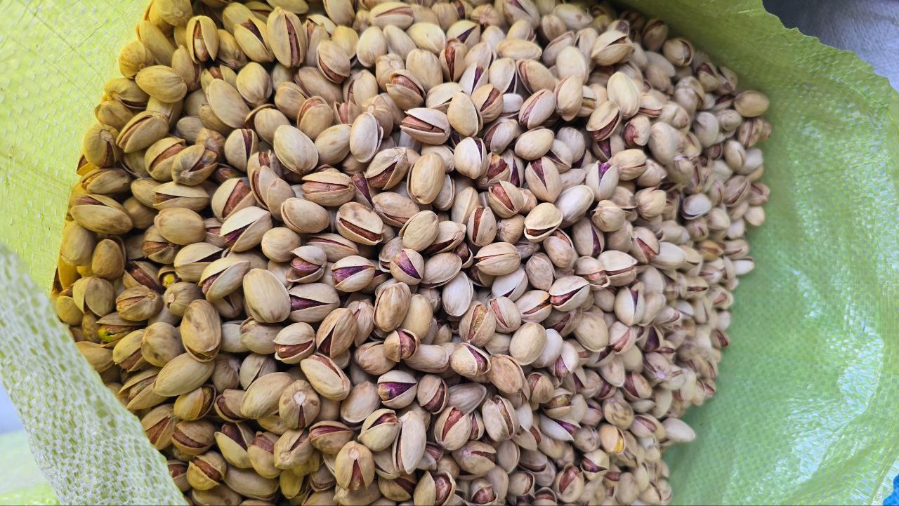 پسته کله قوچی دستچین