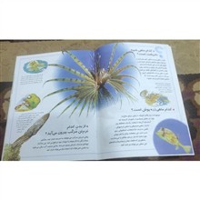 چراهای