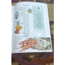 چراهای