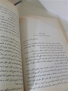 گزیده