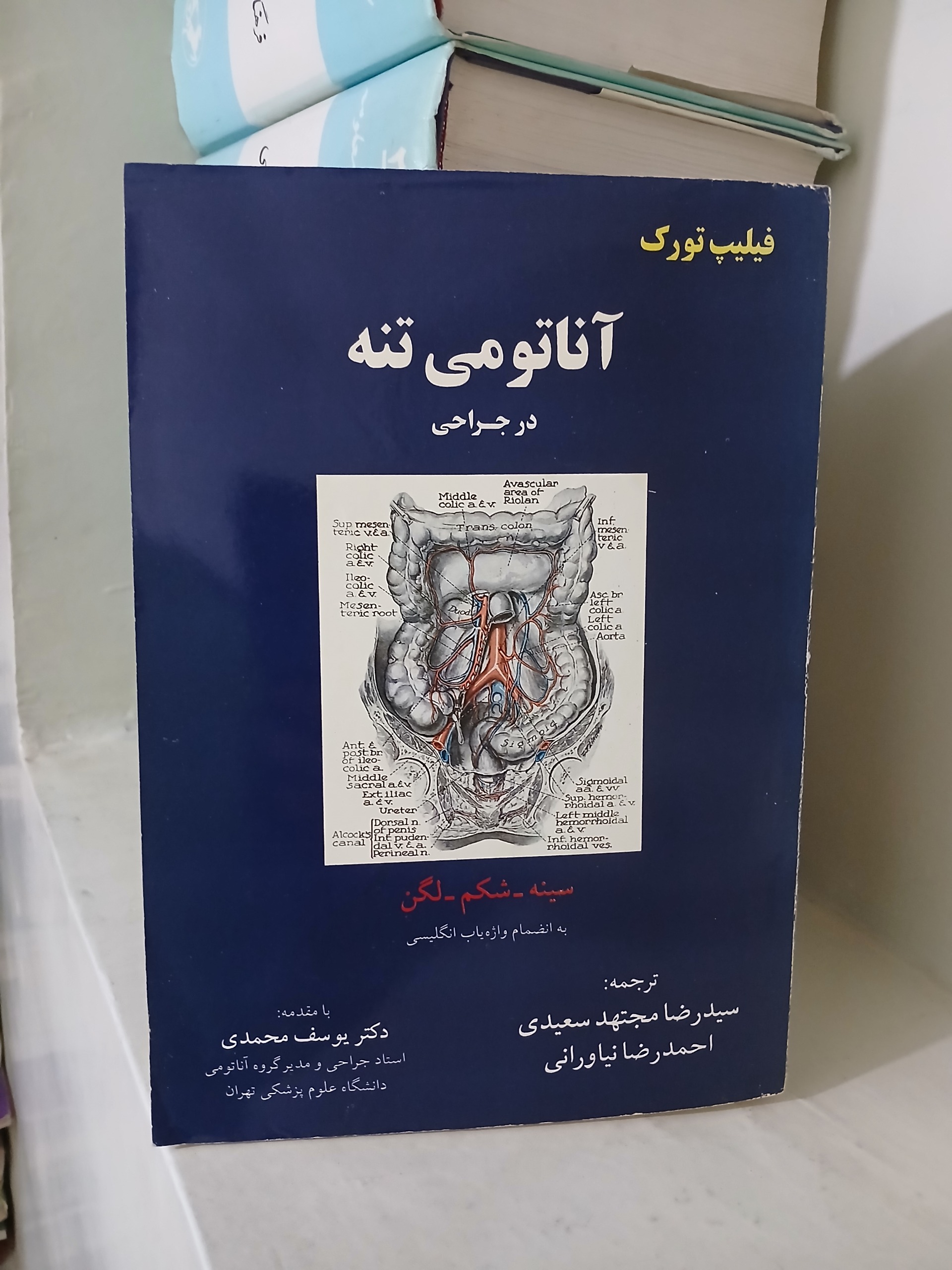 آناتومی تنه در جراحی سینه شکم لگن فیلیپ تورک