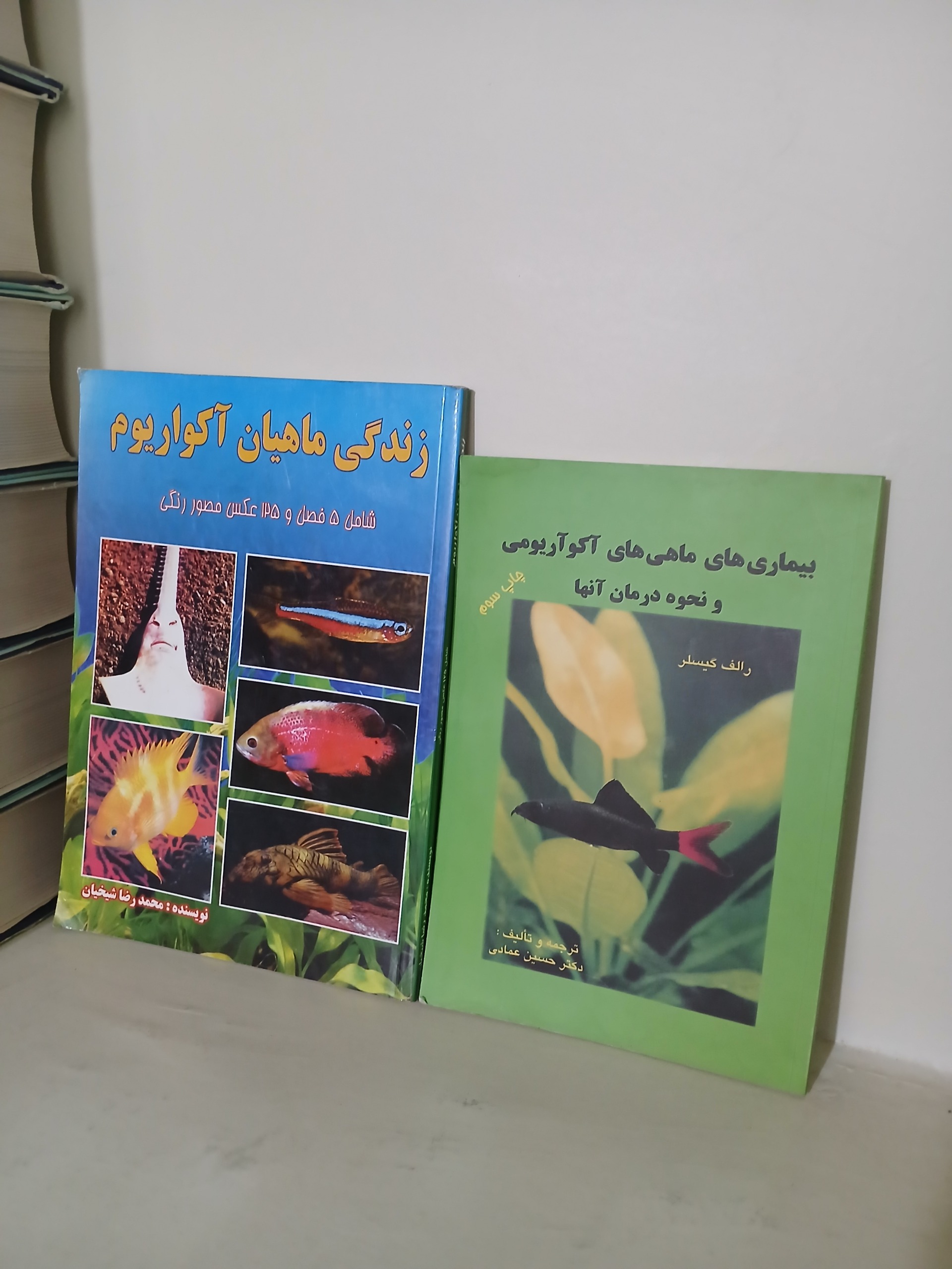 زندگی ماهیان آکواریوم بیماریهای ماهیهای آکواریومی