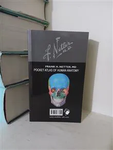 اطلس