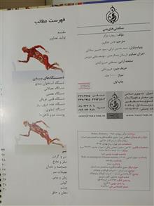 شگفتی
