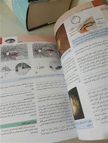 چشم