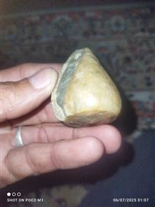 فسیل
