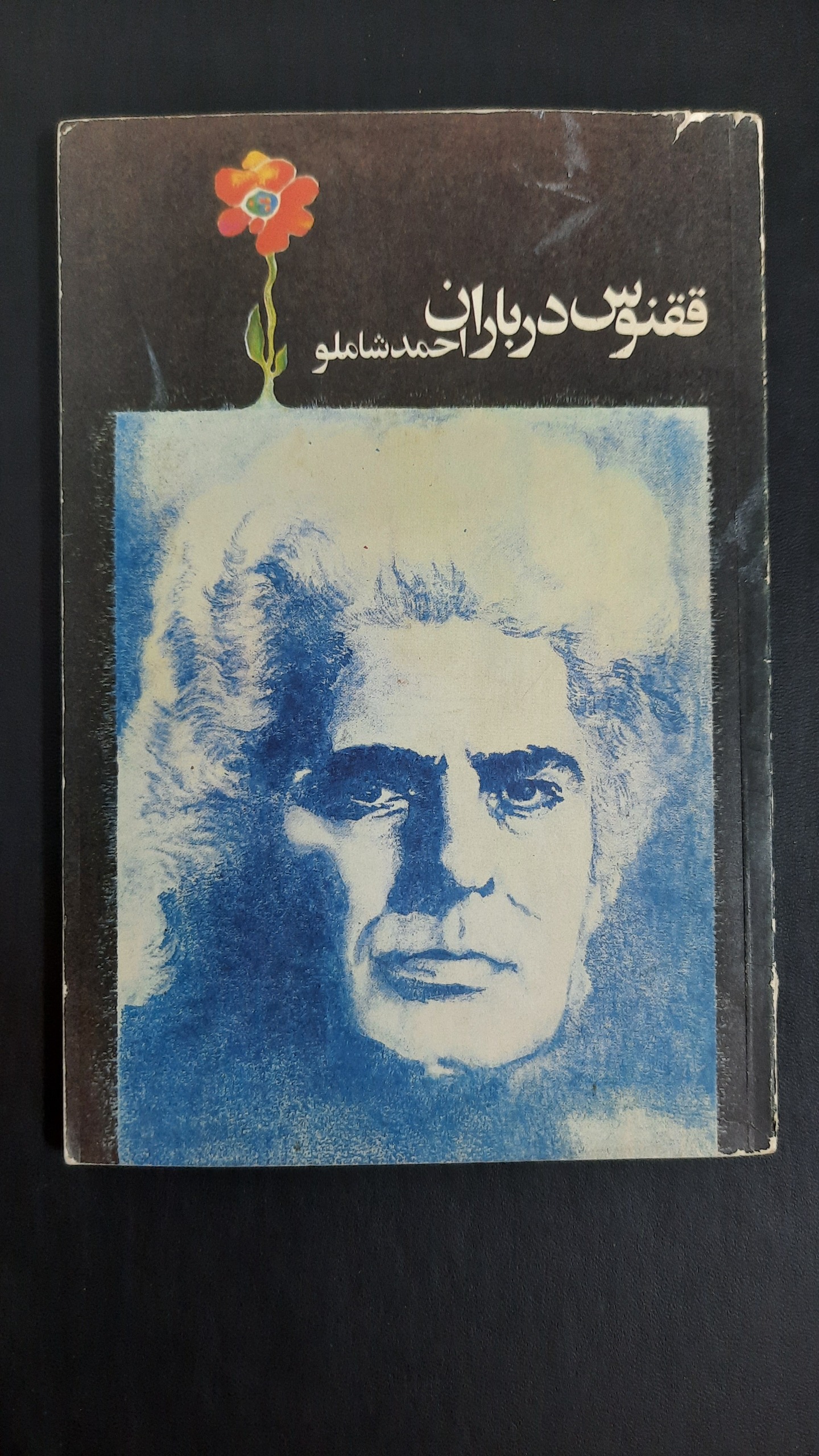ققنوس در باران احمد شاملو