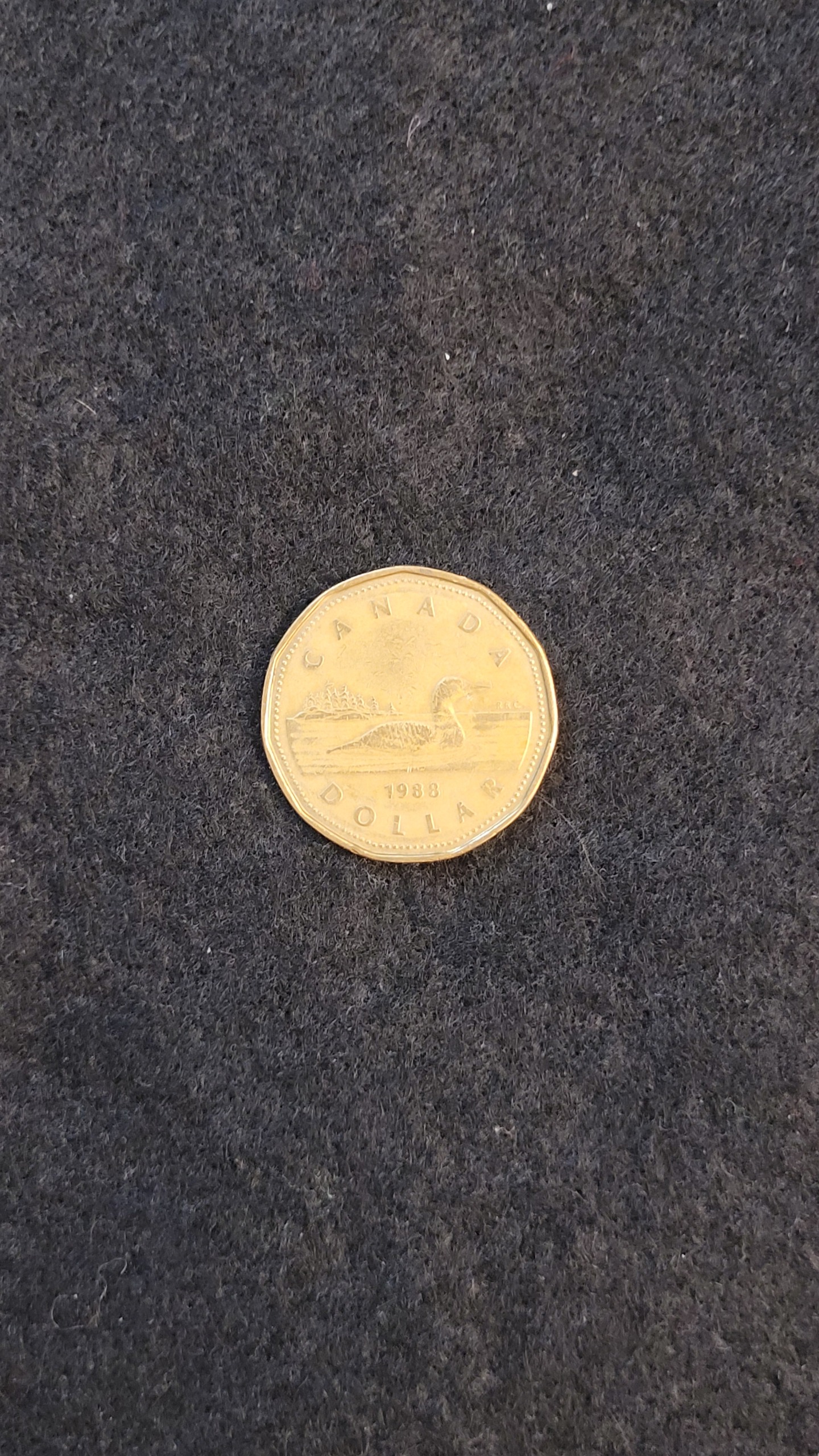 سکه 1 دلار کانادا 1988 خاص کد169