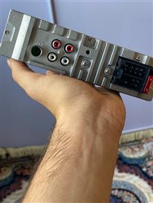 ظبط