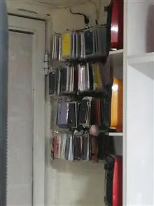 کلیه