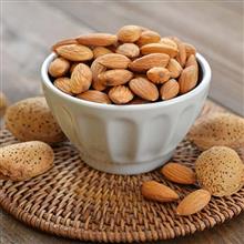مغز