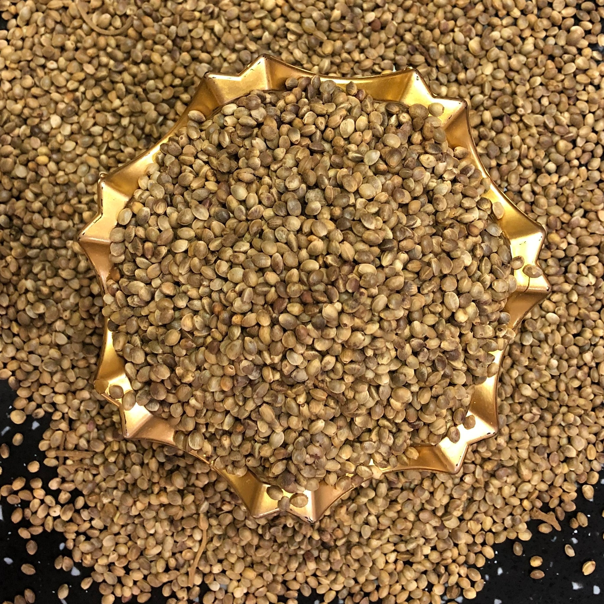 شاهدانه شور بو داده | 250 گرمی