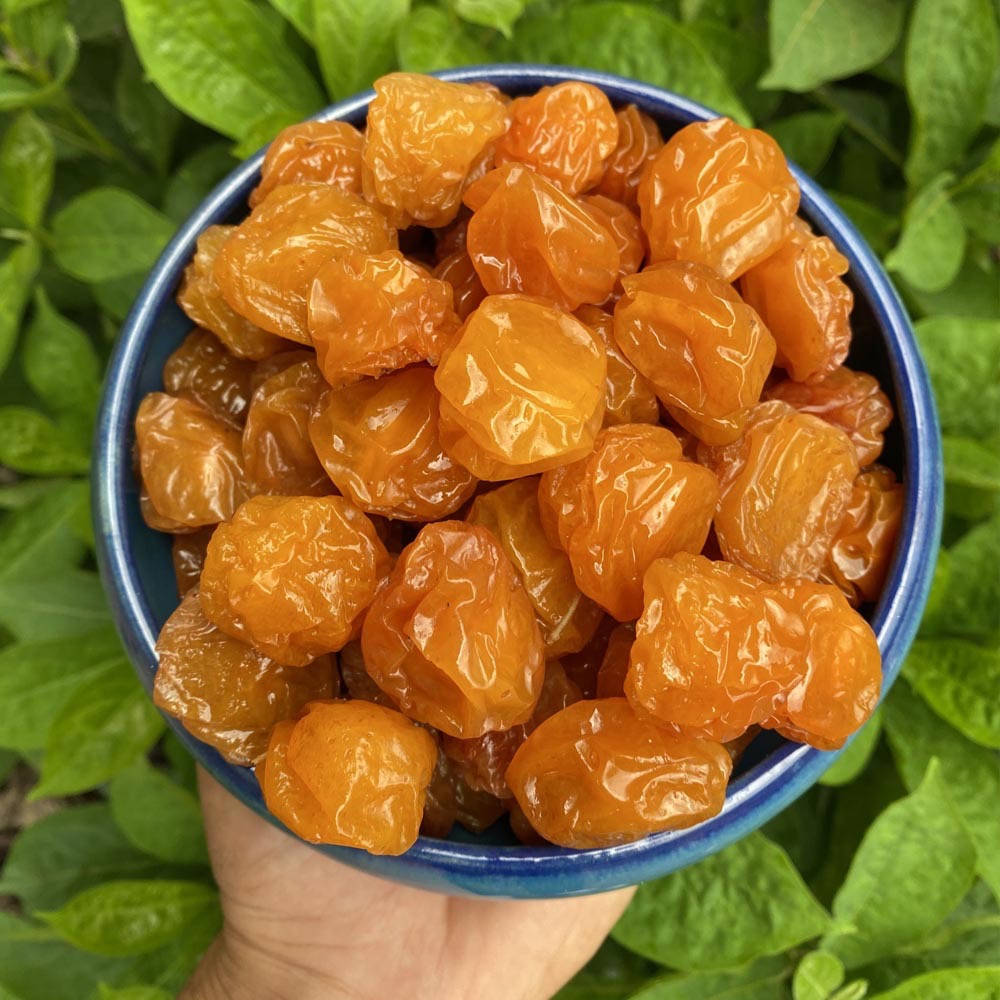 آلو زرد خشک 250 گرمی | گوشتی، ترش و کاملاً طبیعی