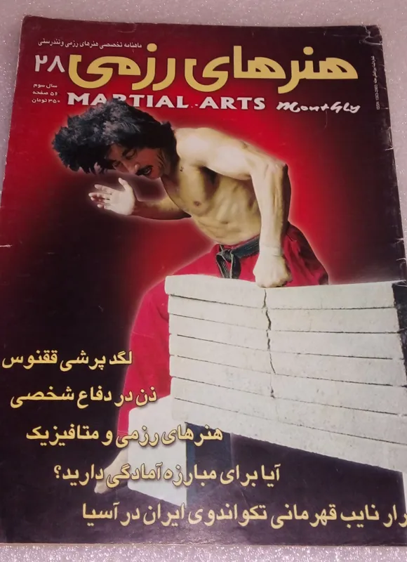 مجله هنرهای رزمی