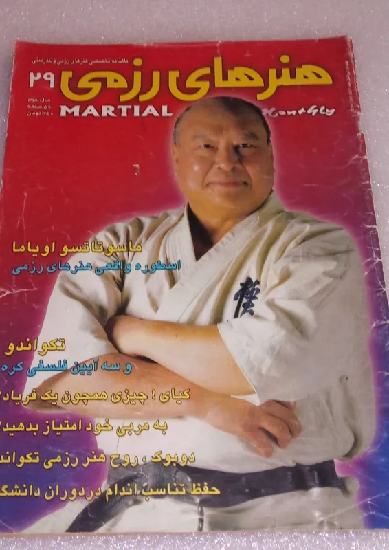 مجله هنرهای رزمی