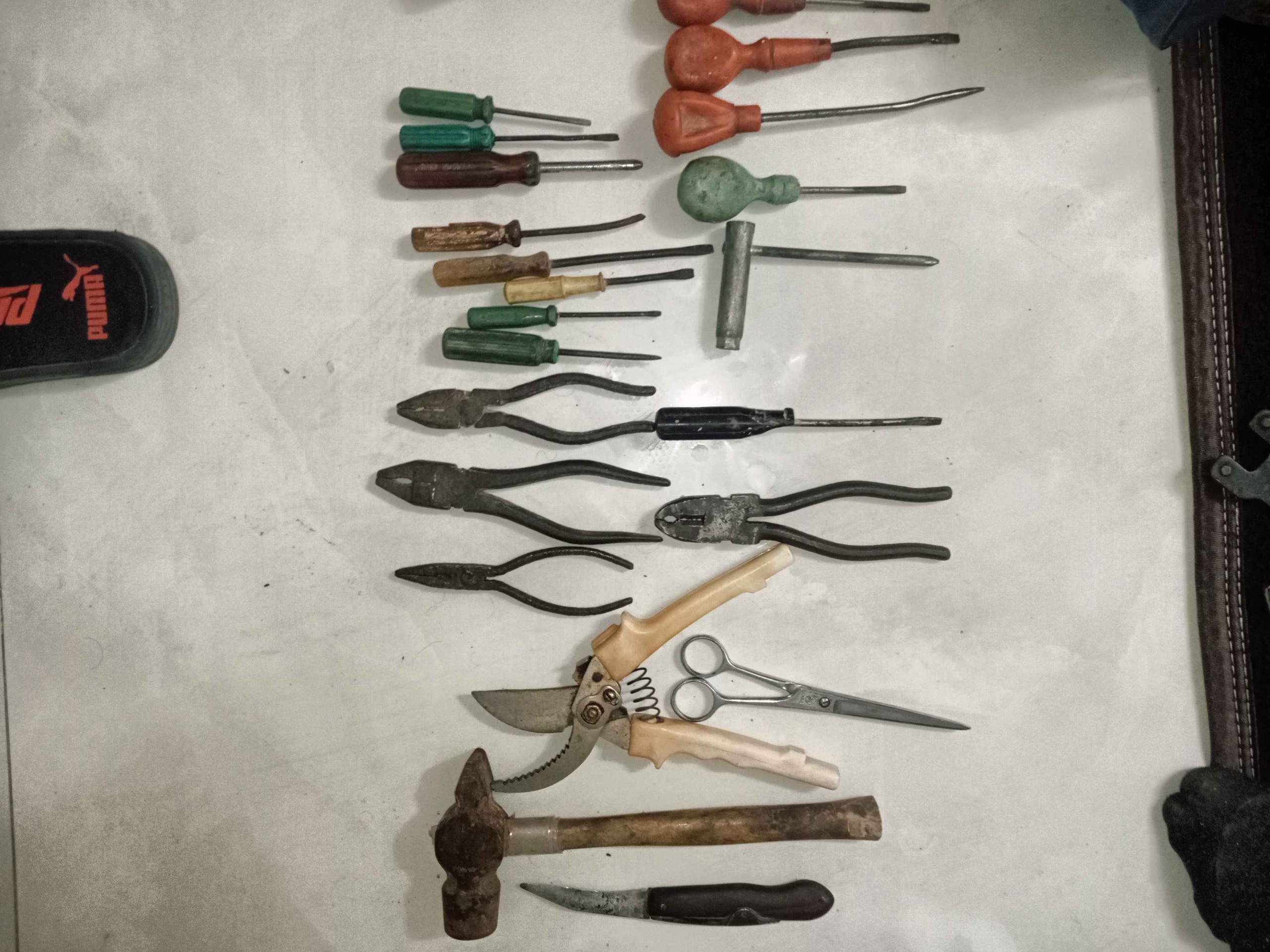 انبردست پیچگوشتی قیچی و