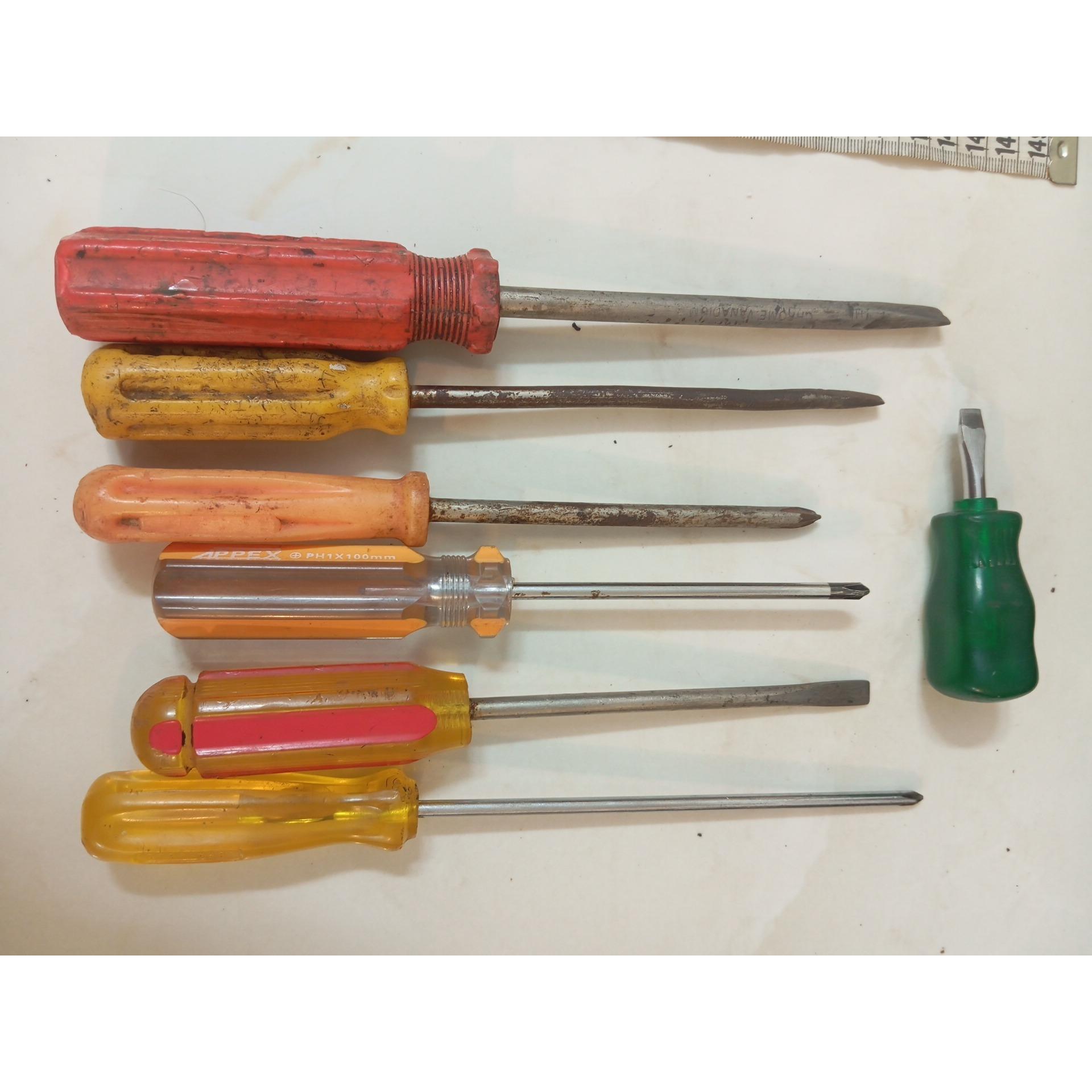 پیچگوشتی های امریکایی