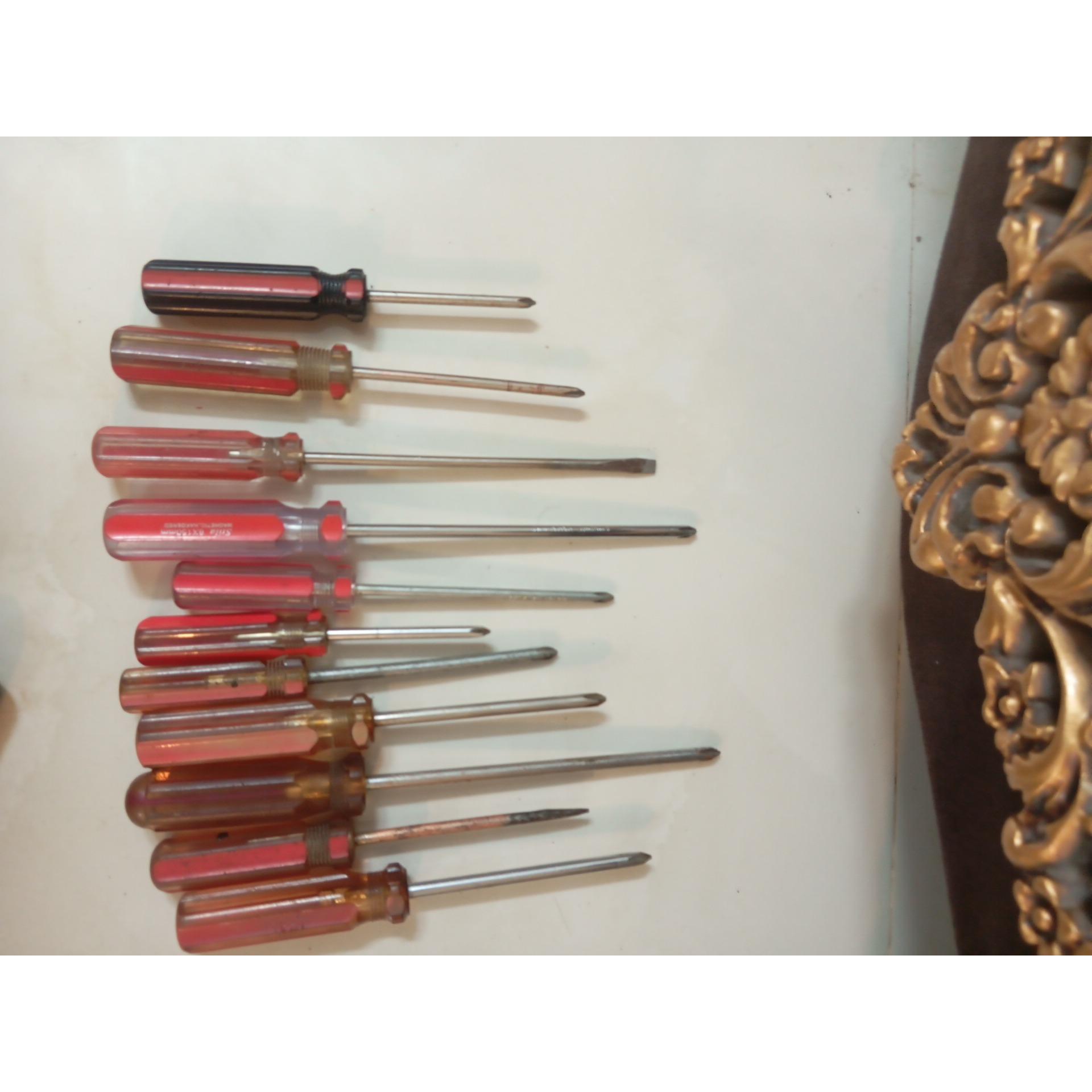 پیچگوشتی اصلی ژاپنی