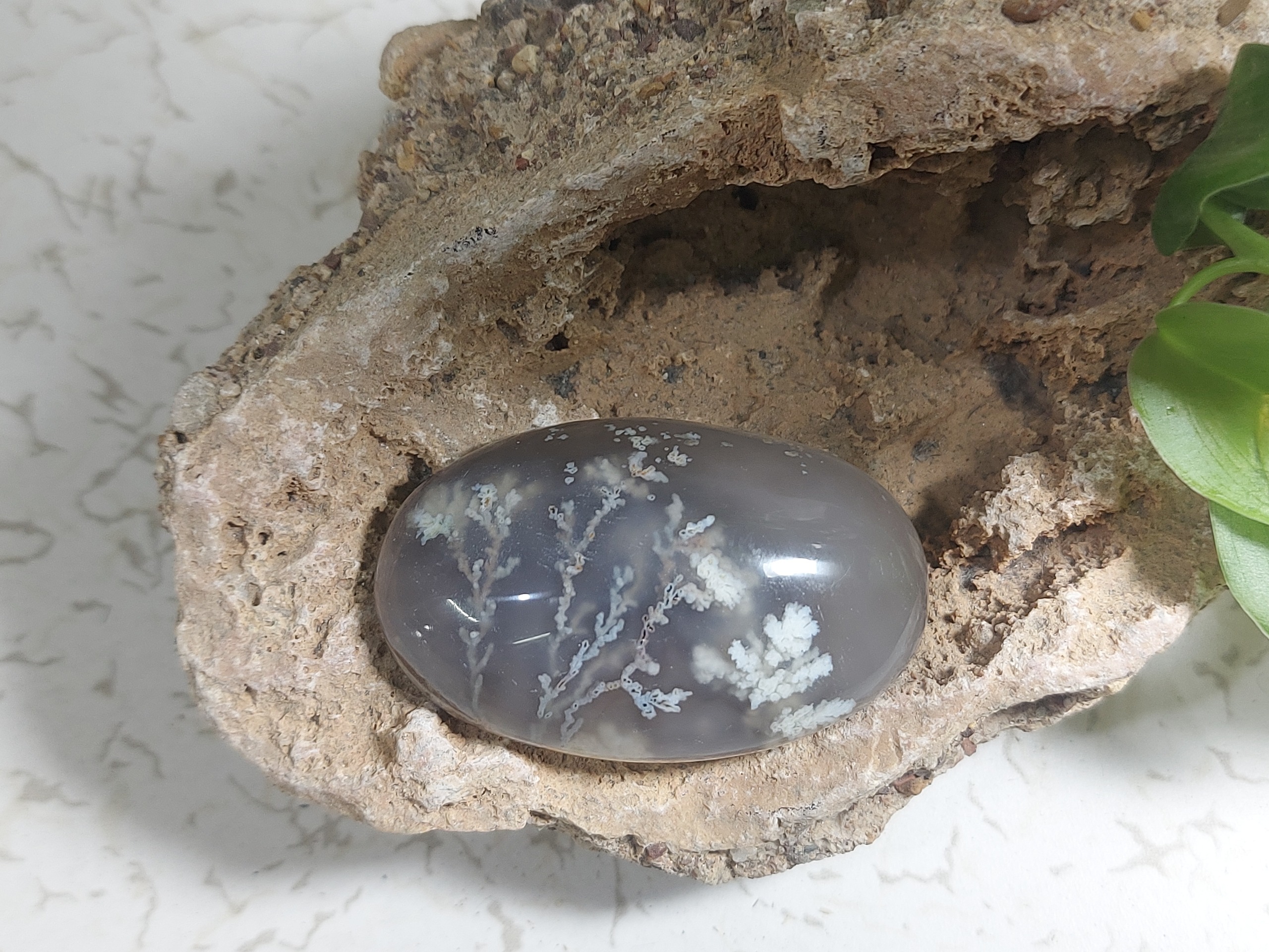 نگین عقیق شجر کبود