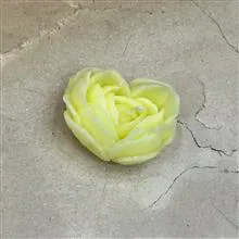 شمع