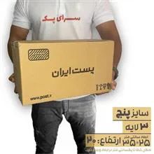 کارتن