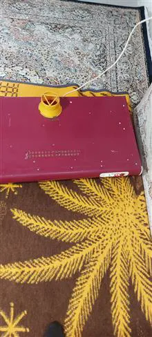 هود