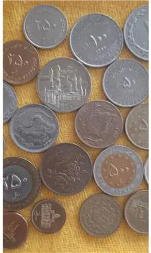 31