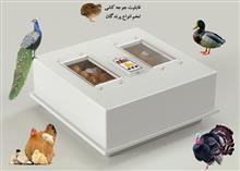 دستگاه