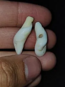 جفت