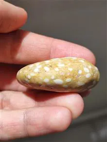 مهره