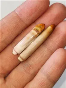 جفت