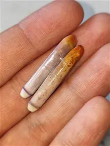 جفت