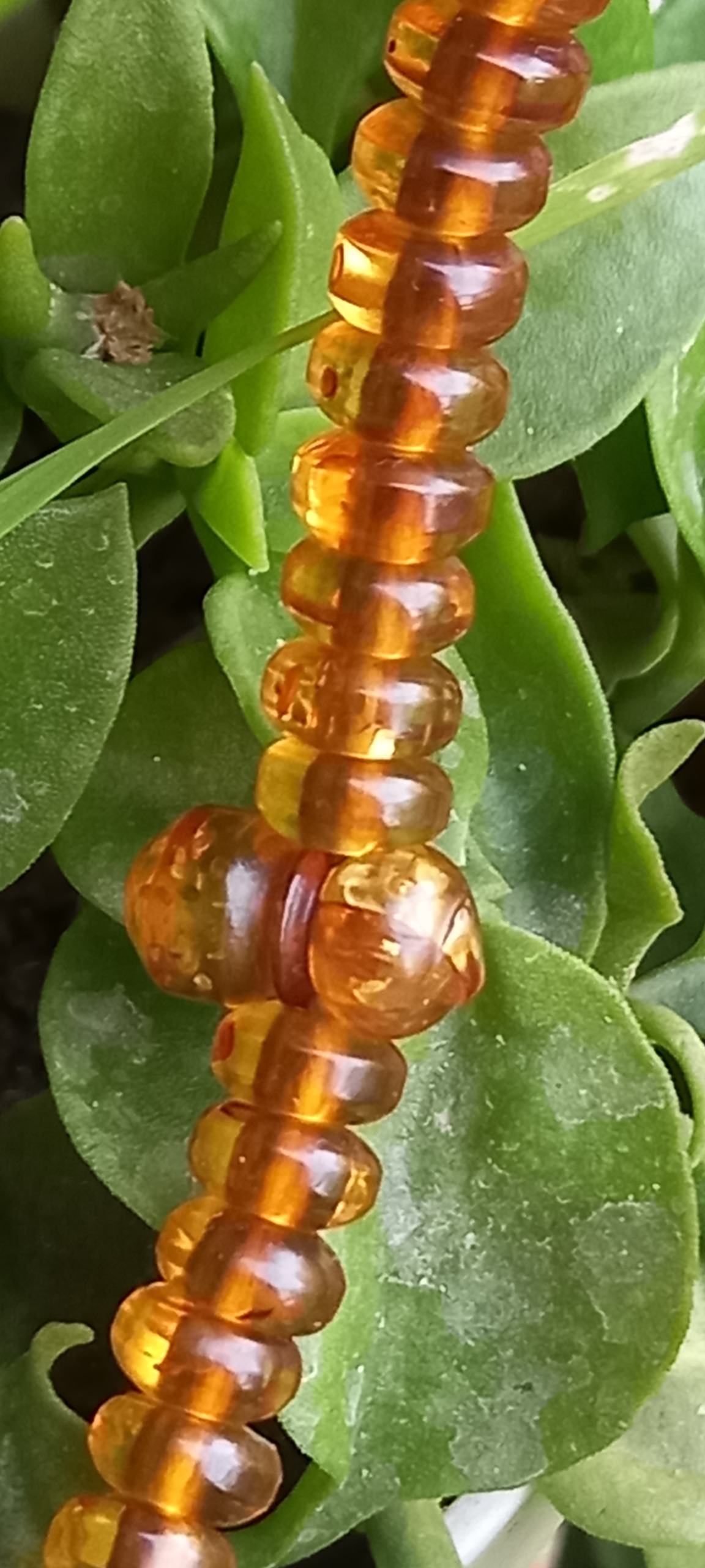 تسبیح کهربا اصل