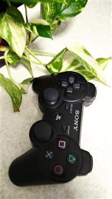دسته