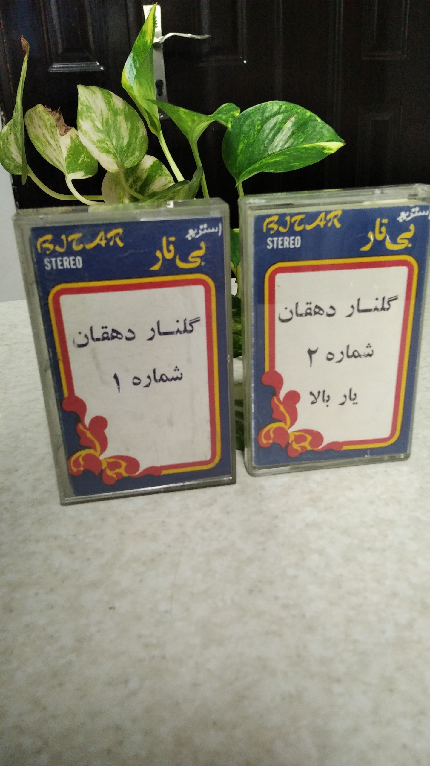 نوارکاست گلناردهقان شیرازی